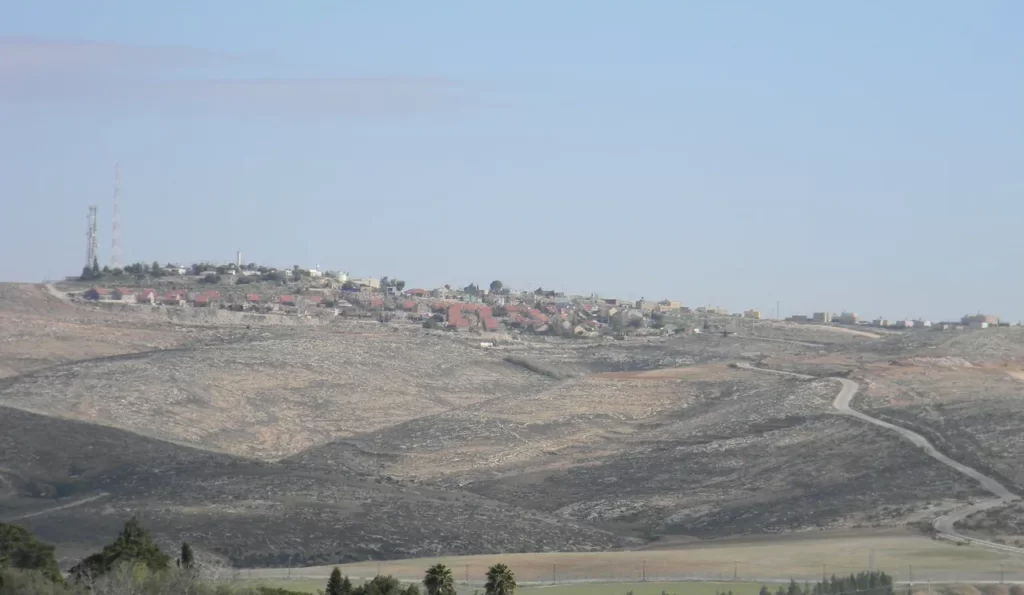 אשכולות צילום איתן יערן